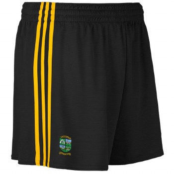 Four Roads Shorts Adults 30 Bl